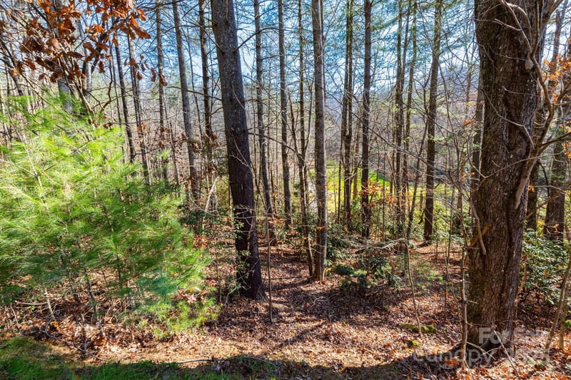 139 Chattooga Rn #221, Hendersonville, NC 28739