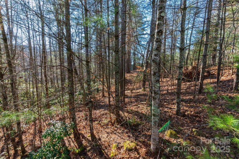139 Chattooga Rn #221, Hendersonville, NC 28739