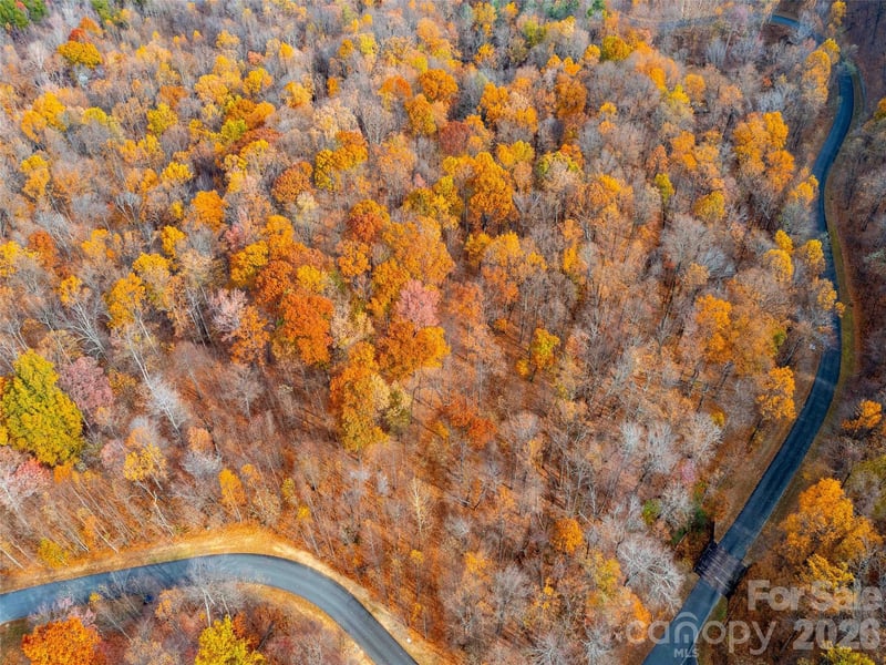 Lot 2110 Harm Creek Loop, Mill Spring, NC 28756