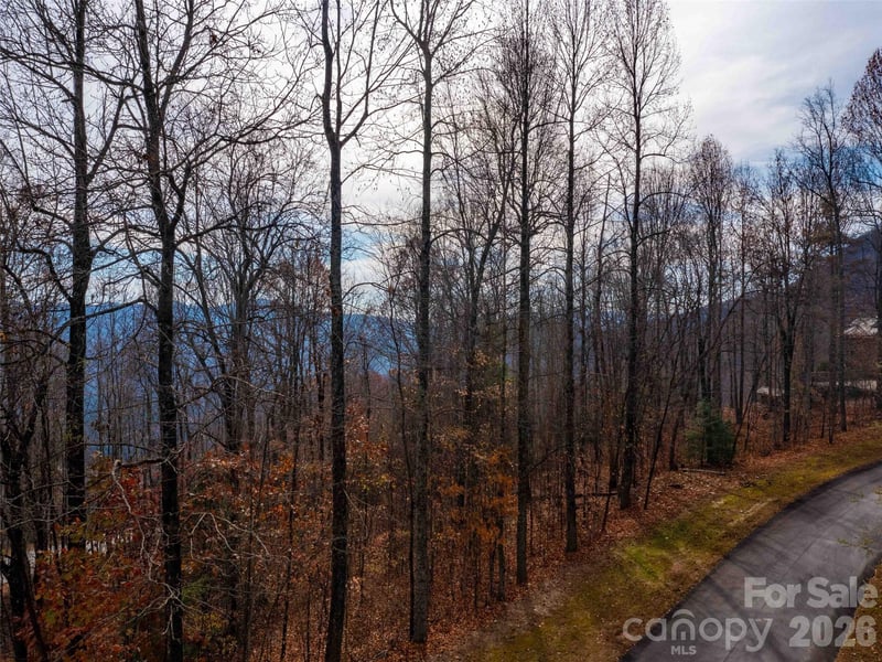 Lot 253 Haddington Dr, Mill Spring, NC 28756