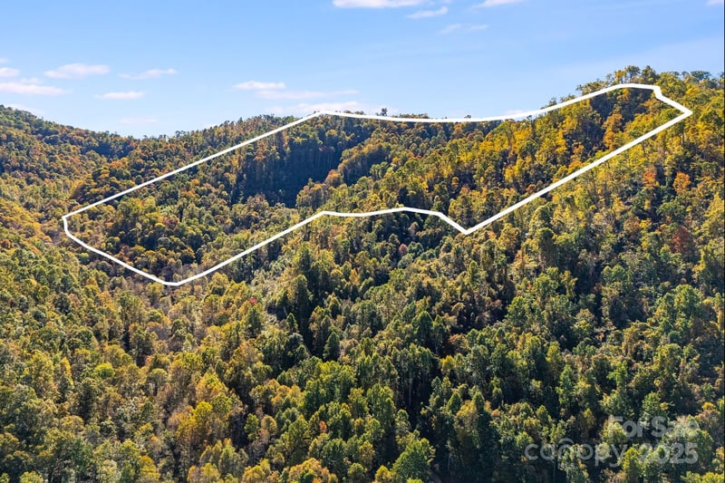 000 Hamburg Rd #49, Mars Hill, NC 28754