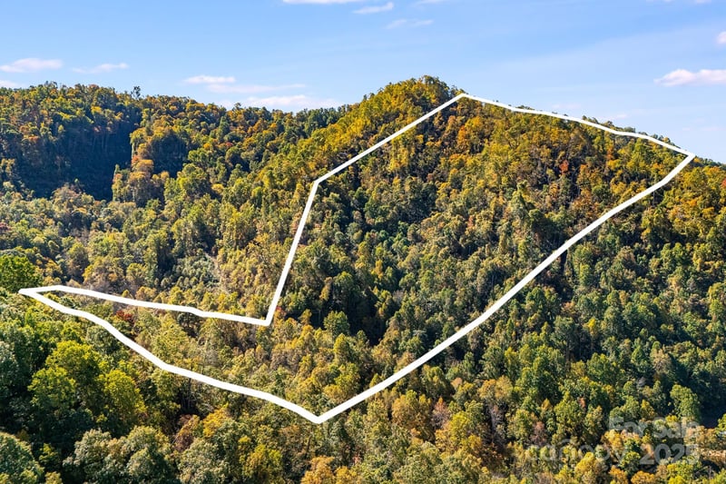 000 Hamburg Rd #17, Mars Hill, NC 28754