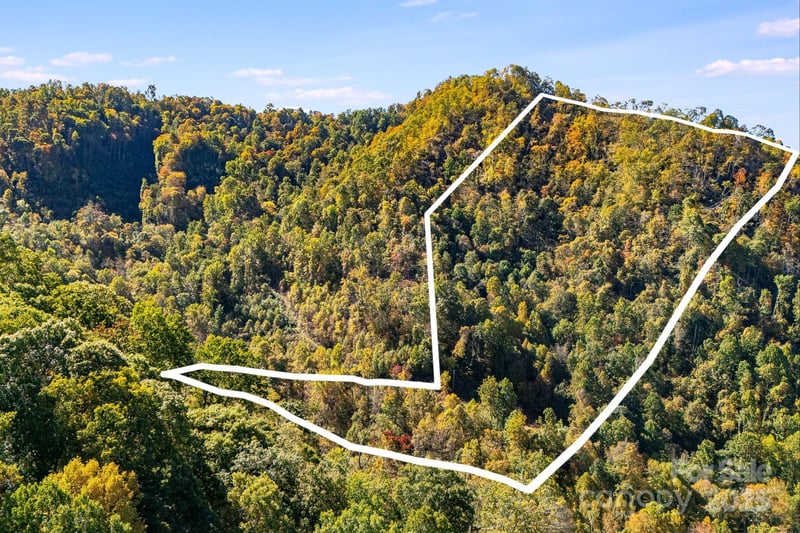 000 Hamburg Rd #17, Mars Hill, NC 28754