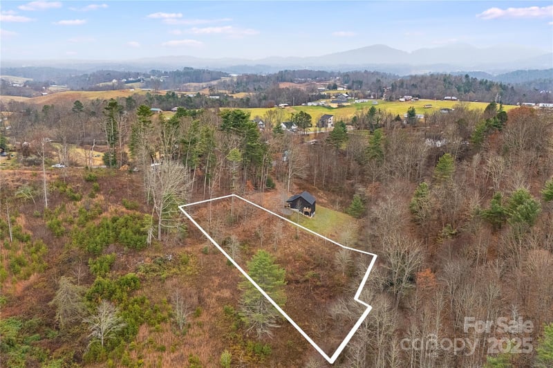 9999 Gizmo Trl, Leicester, NC 28748