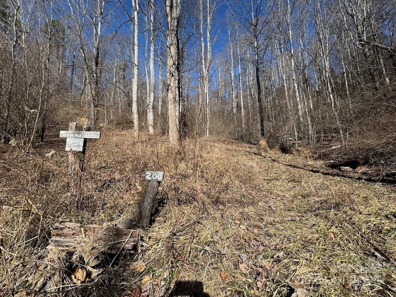 TBD Glen Valley Way #187,200, Weaverville, NC 28787