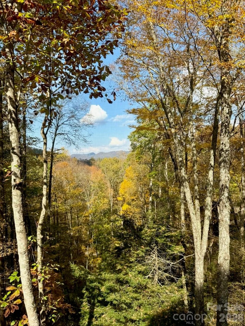 126 Mossycup Ct, Tuckasegee, NC 28783