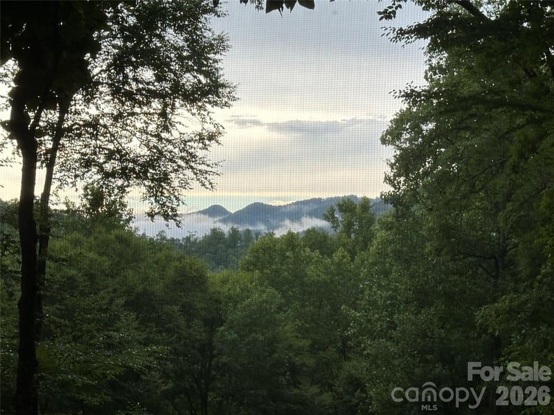 126 Mossycup Ct, Tuckasegee, NC 28783