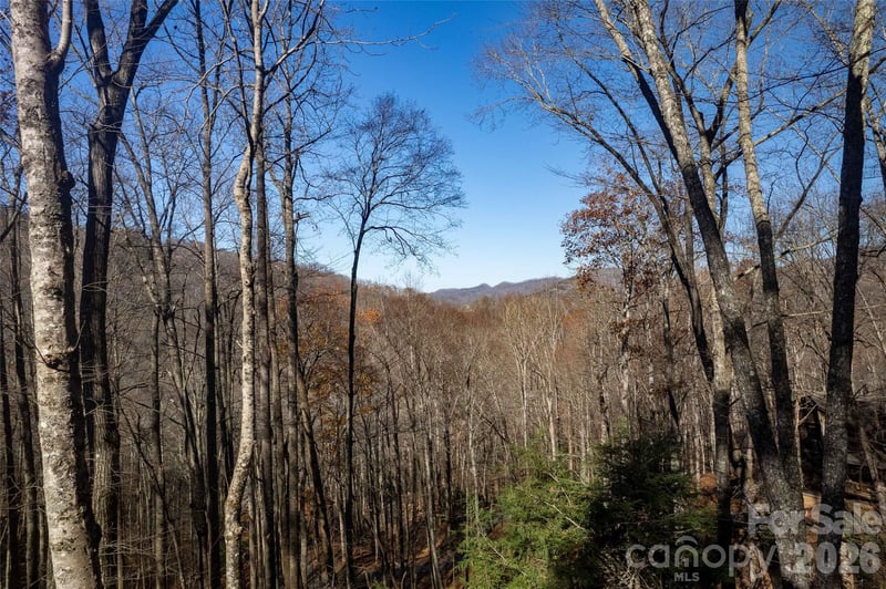 126 Mossycup Ct, Tuckasegee, NC 28783