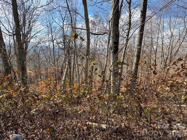 50 Scenic Wolf Ridge Rd, Mars Hill, NC 28754