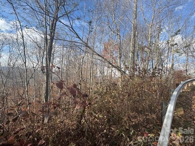 50 Scenic Wolf Ridge Rd, Mars Hill, NC 28754