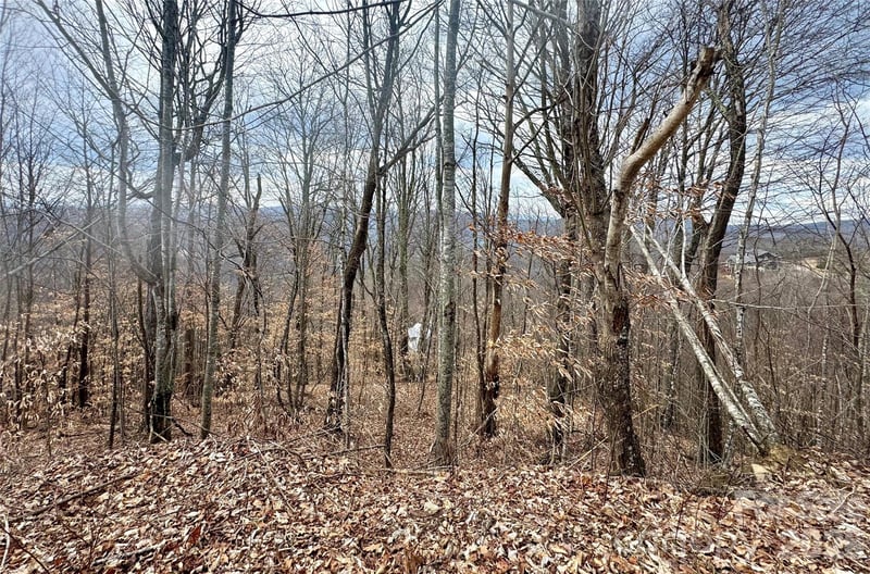 50 Scenic Wolf Ridge Rd, Mars Hill, NC 28754