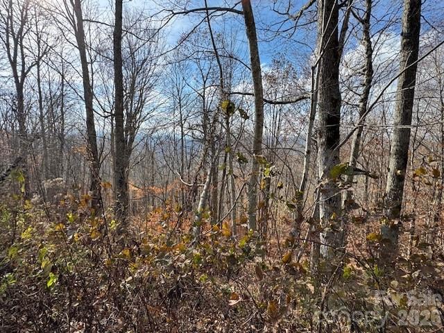 50 Scenic Wolf Ridge Rd, Mars Hill, NC 28754