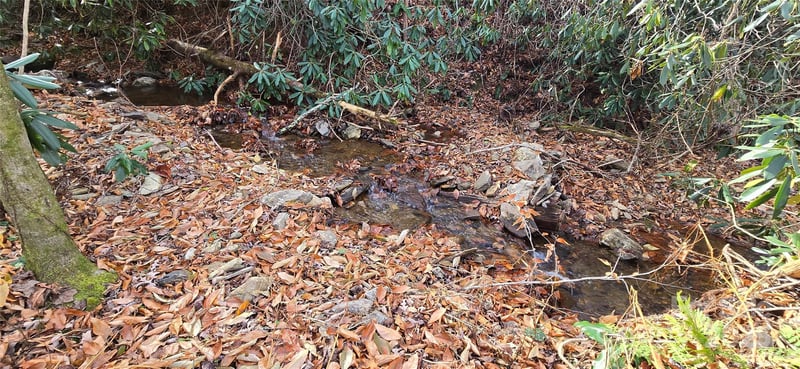 Lot 24 Twinbrook Ln, Maggie Valley, NC 28751