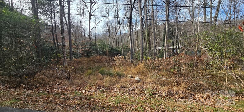 Lot 24 Twinbrook Ln, Maggie Valley, NC 28751