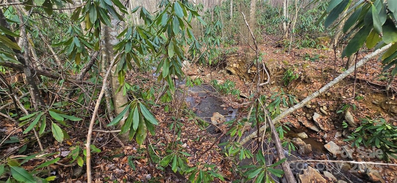 Lot 20 Twinbrook Ln, Maggie Valley, NC 28751