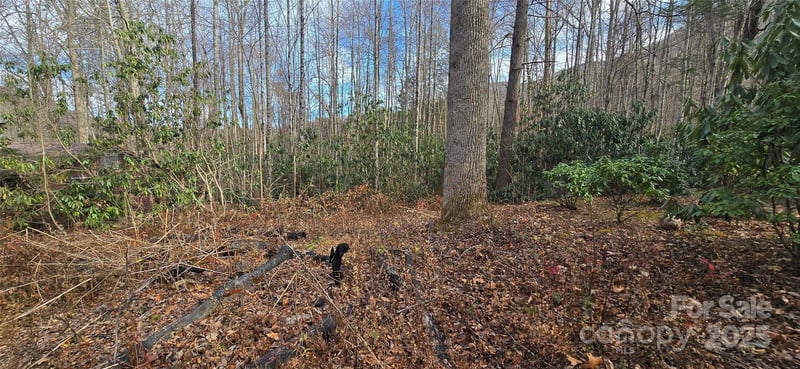 Lot 20 Twinbrook Ln, Maggie Valley, NC 28751