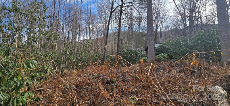 Lot 20 Twinbrook Ln, Maggie Valley, NC 28751