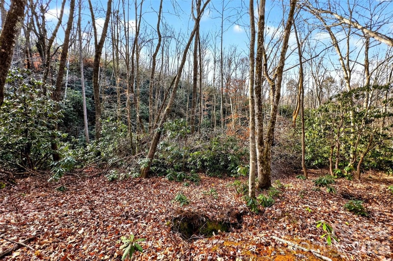 172 Crimson Dr #995, Old Fort, NC 28762