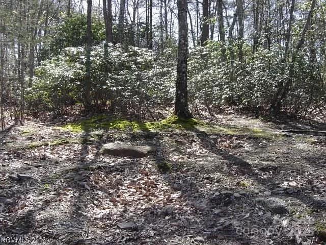 91 Old Forge Dr, Bostic, NC 28018