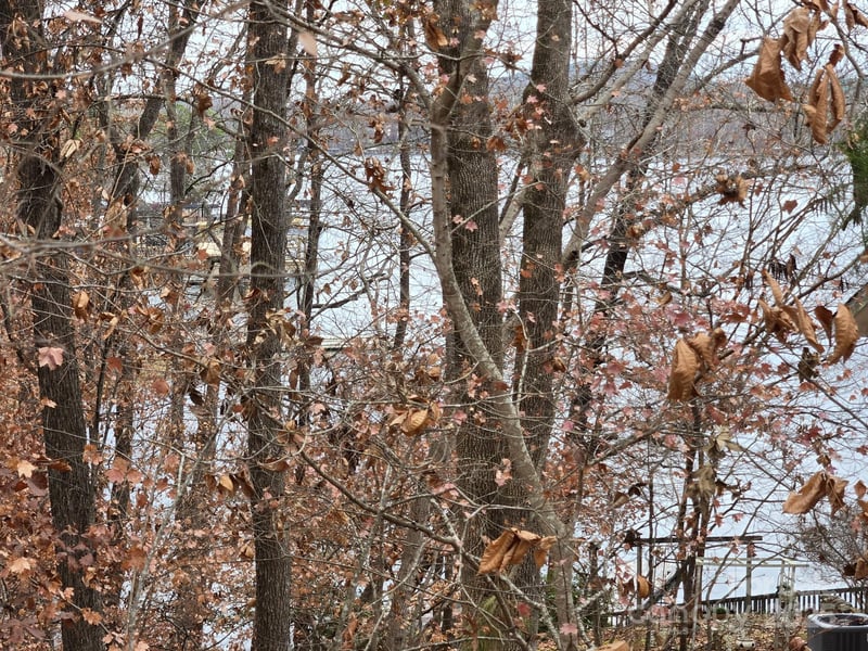 Shoreline Rd #107, Badin Lake, NC 28127