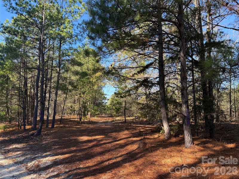 164 Haines Rd, Jackson Springs, NC 27281