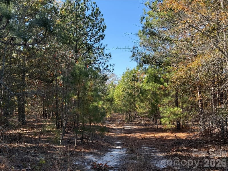 164 Haines Rd, Jackson Springs, NC 27281