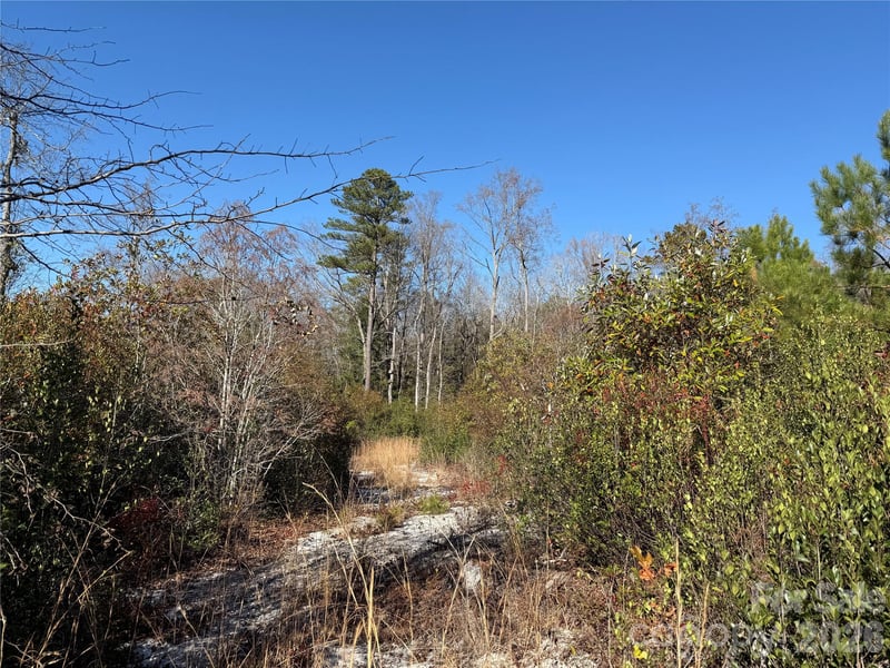 164 Haines Rd, Jackson Springs, NC 27281