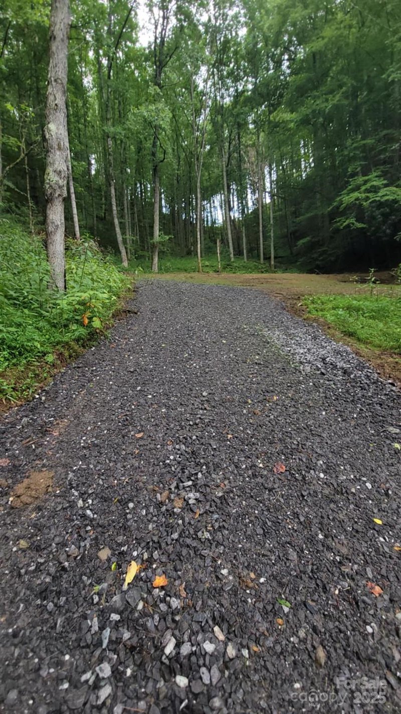 295 Bennett Branch Rd, Green Mountain, NC 28740