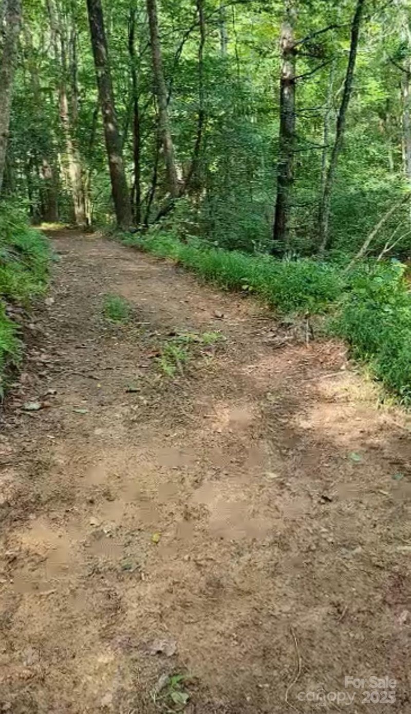 295 Bennett Branch Rd, Green Mountain, NC 28740