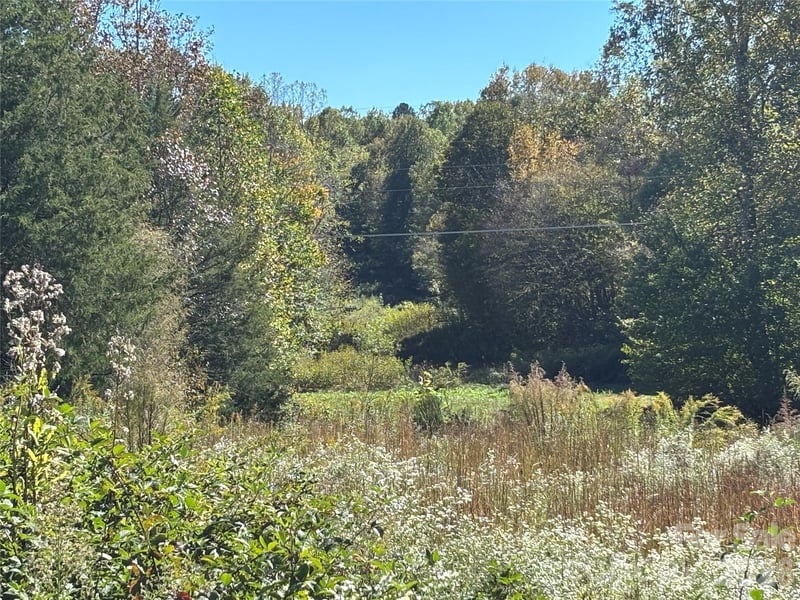 111 Sheep Path Dr, Mooresville, NC 28115