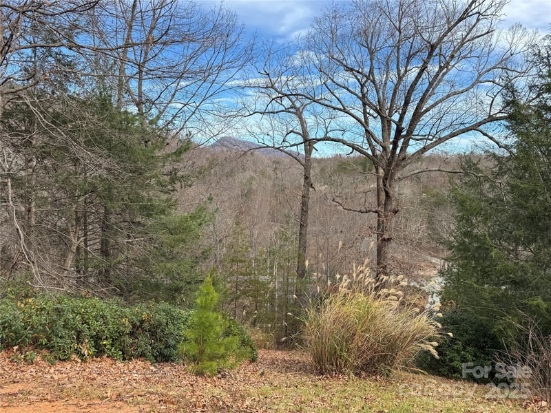 Deer Trl #16, Lake Lure, NC 28746