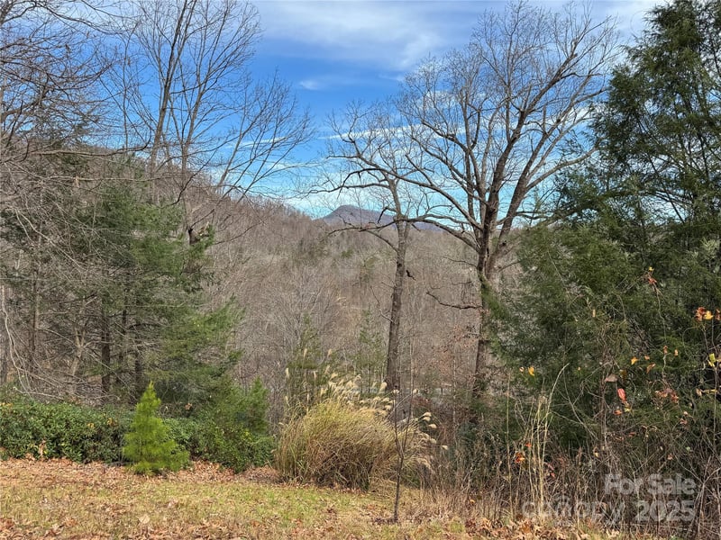 Deer Trl #16, Lake Lure, NC 28746