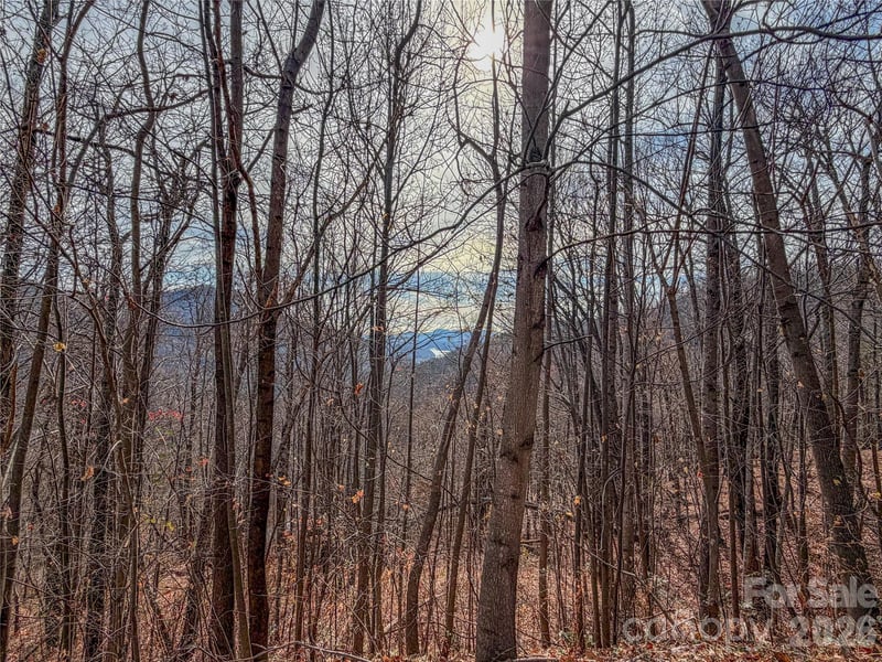 Lot 375 Rolling Ridge Trl, Lake Lure, NC 28746