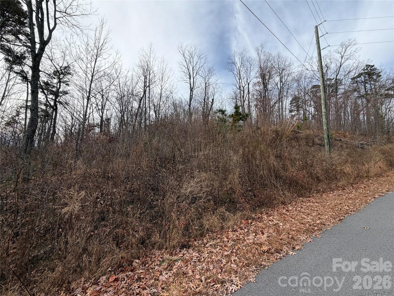 Lot 375 Rolling Ridge Trl, Lake Lure, NC 28746