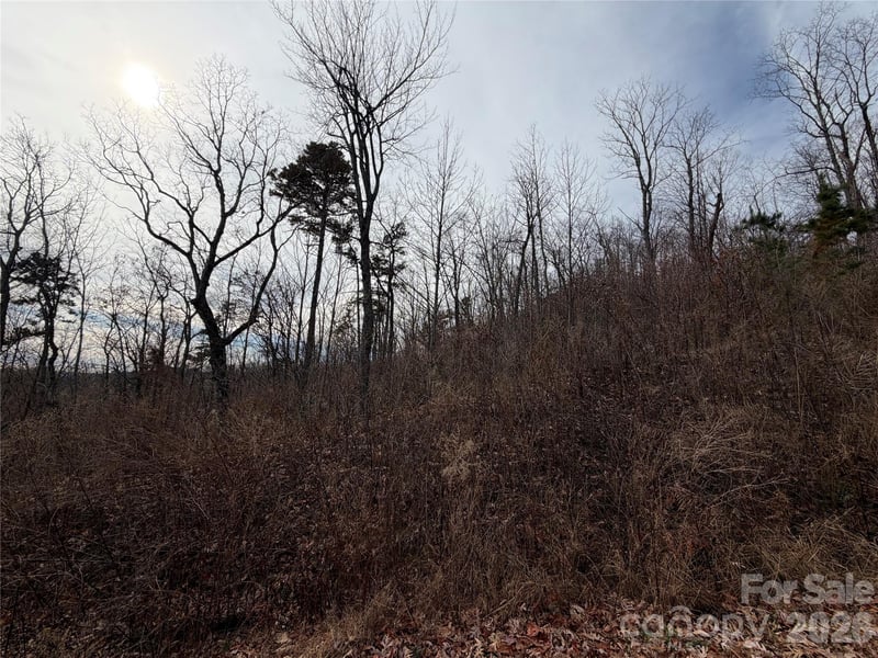 Lot 375 Rolling Ridge Trl, Lake Lure, NC 28746