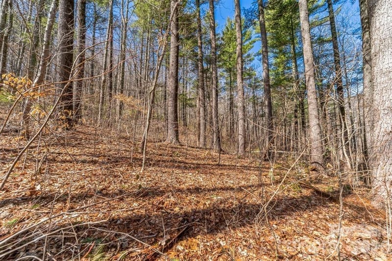 99999 Parker Rd, Asheville, NC 28805