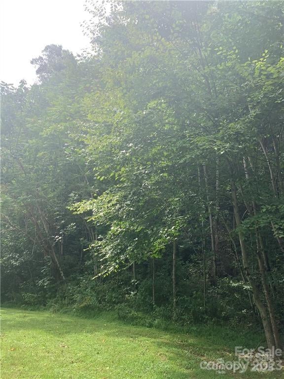 147 Splitrail Dr #5, Hendersonville, NC 28792