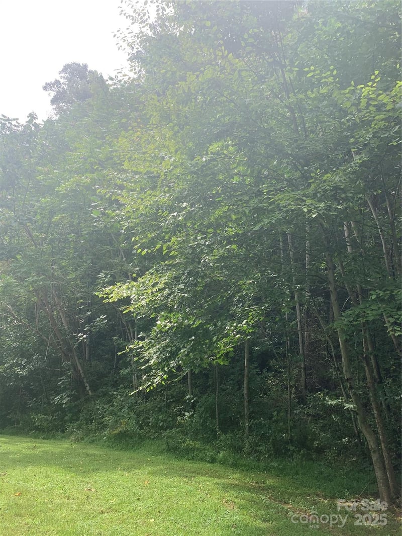 147 Splitrail Dr #5, Hendersonville, NC 28792