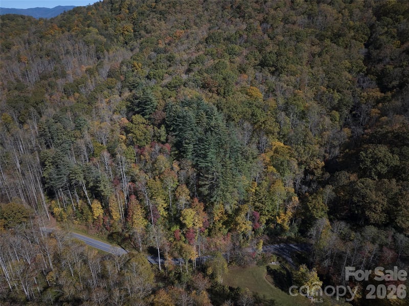 0 Treehouse Rd, Whittier, NC 28789