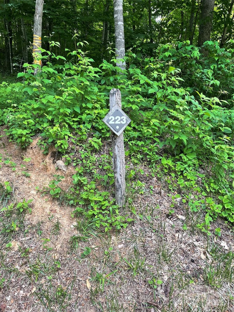 223 Flying Dutchman Rd, Sylva, NC 28779