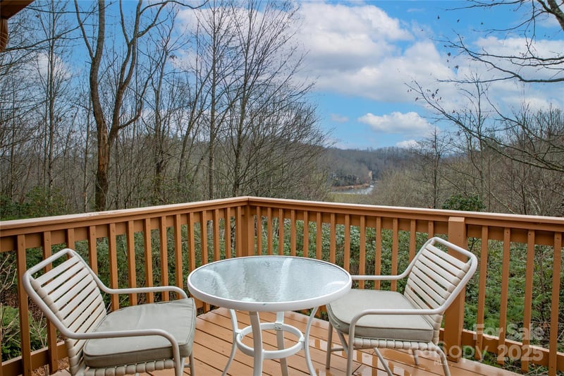 42 Tsitsi Ct, Brevard, NC 28712