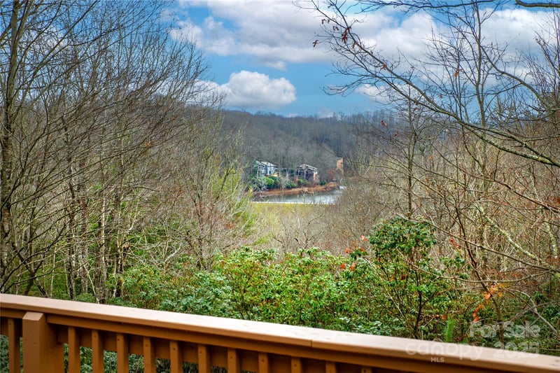 42 Tsitsi Ct, Brevard, NC 28712