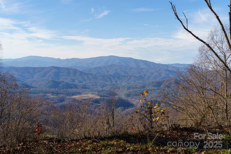 1098 Hyacinth Dr, Clyde, NC 28721