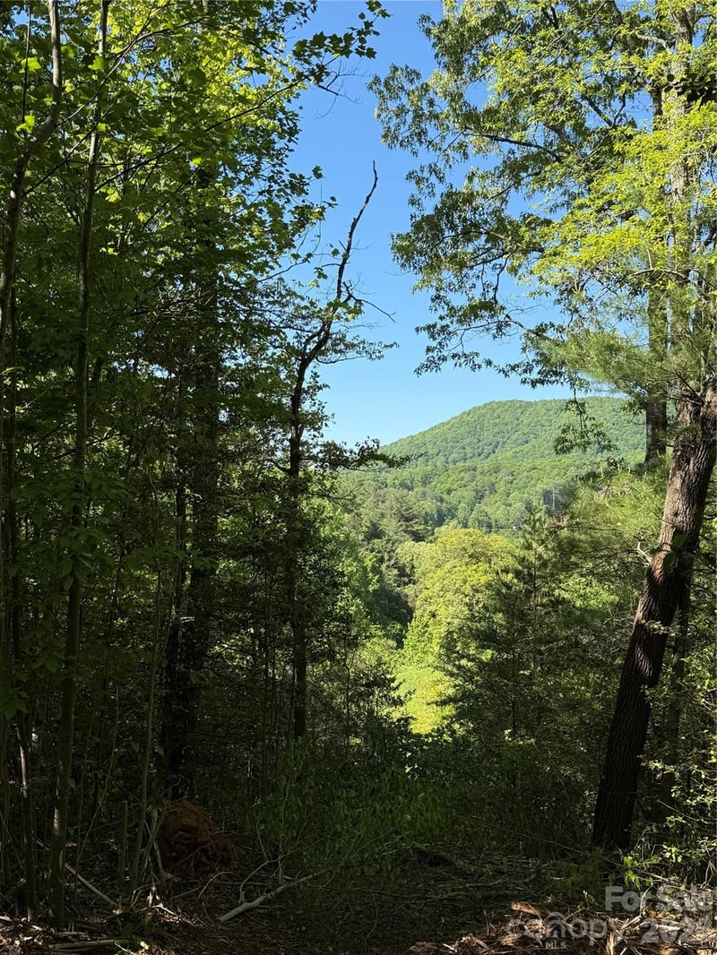 West Legacy Dr #3, Hendersonville, NC 28739
