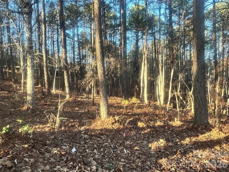 5501 Bridgewater Dr, Granite Falls, NC 28630
