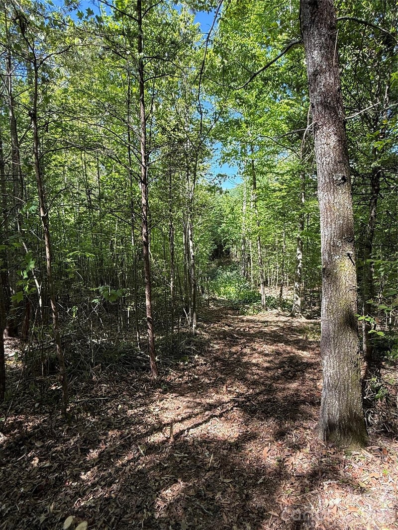 West Legacy Dr #4, Hendersonville, NC 28739