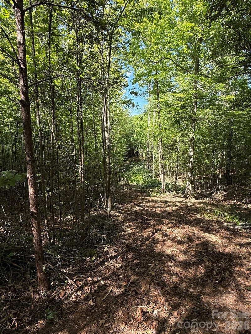West Legacy Dr #4, Hendersonville, NC 28739