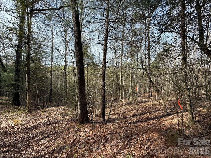 West Legacy Dr #5, Hendersonville, NC 28739