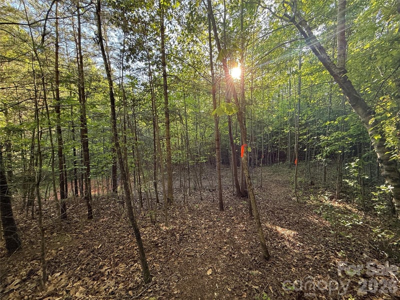 West Legacy Dr #5, Hendersonville, NC 28739