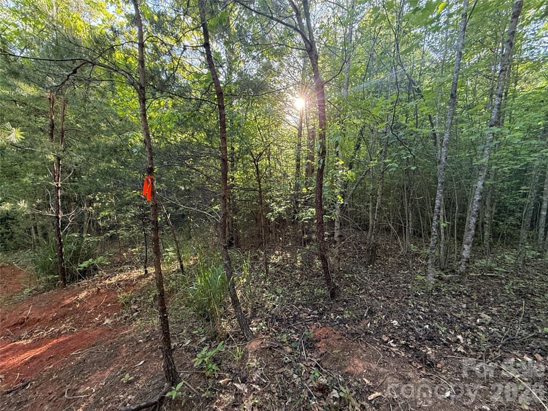 West Legacy Dr #5, Hendersonville, NC 28739